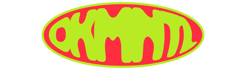 Dekmantel Festival